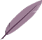 icon feder violett
